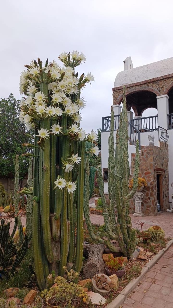 Villa Contessa Beaufort West Esterno foto